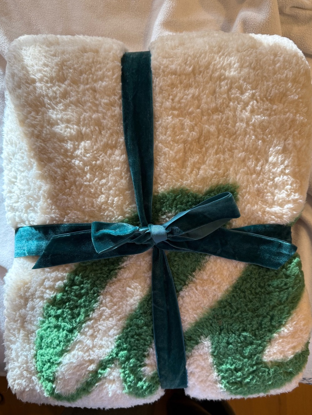 Aerie NWT Cozy Colorful Sherpa Throw with Teal Ribbon
